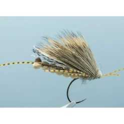 Hedgehog Foam Stone #6 - Your Premium Fishing Gear Store Rods Lines Baits Accessories^ Outlet