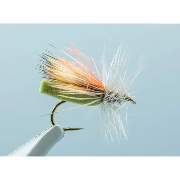 Hi Vis Foam Caddis Olive #14 - Your Premium Fishing Gear Store Rods Lines Baits Accessories^ Best