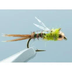 Hogan Olive - 1 Doz. - Your Premium Fishing Gear Store Rods Lines Baits Accessories^ Shop