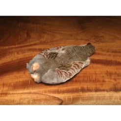 Hungarian Partridge Skin #1 - Your Premium Fishing Gear Store Rods Lines Baits Accessories^ Outlet