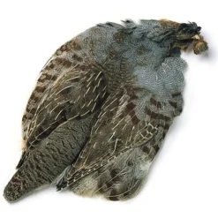 Hungarian Partridge Skins - Your Premium Fishing Gear Store Rods Lines Baits Accessories^ Sale