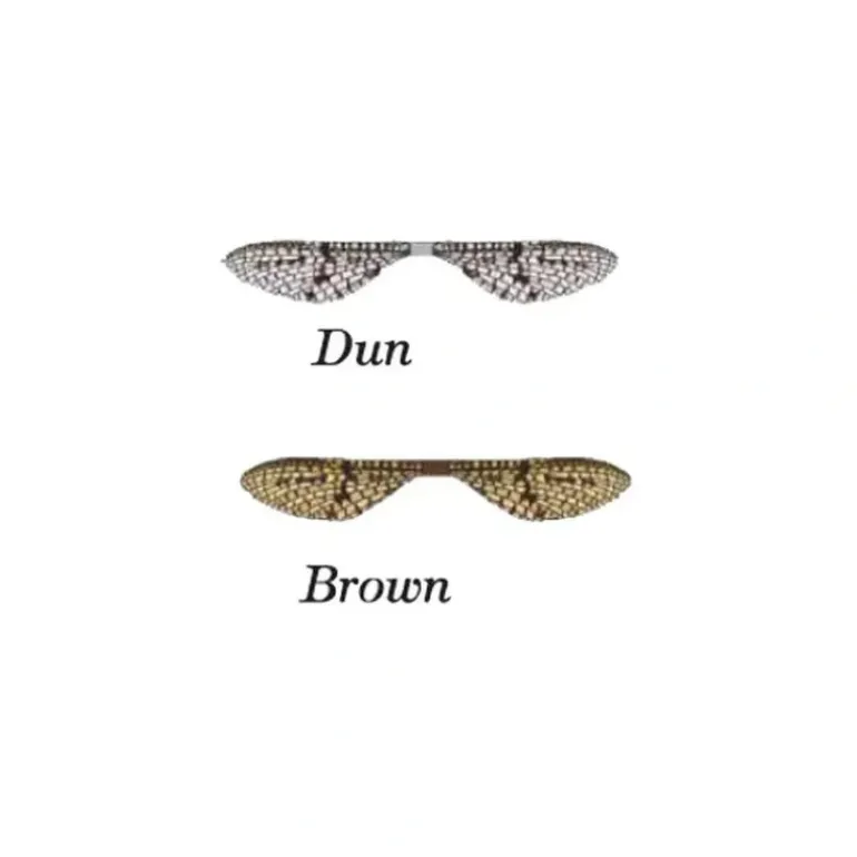 Lazer Wing Mayfly - Your Premium Fishing Gear Store Rods Lines Baits Accessories* Fly Fishing