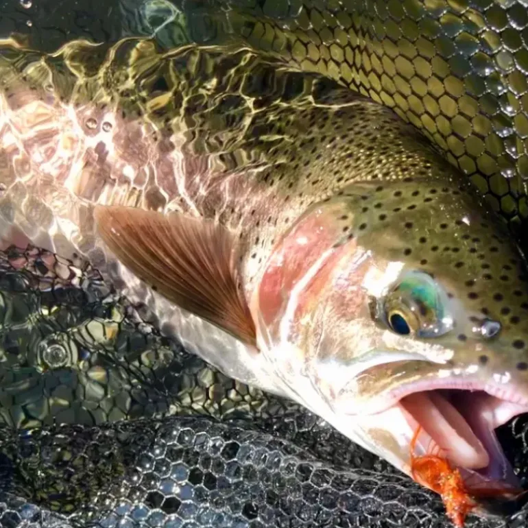 LCO River Specific Fly Packs (Trout) - Your Premium Fishing Gear Store Rods Lines Baits Accessories* Fly Fishing