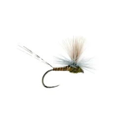 Lexi's Get 'er Dun May BWO Barbless - Your Premium Fishing Gear Store Rods Lines Baits Accessories* Fly Fishing