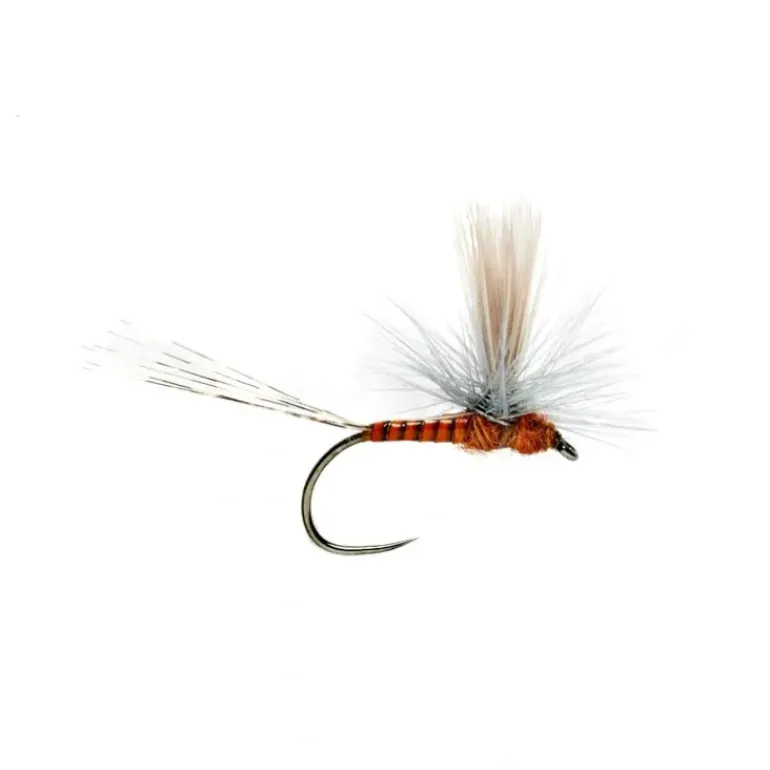 Lexi's Get 'er Dun May Red Quill Barbless - Your Premium Fishing Gear Store Rods Lines Baits Accessories* Fly Fishing