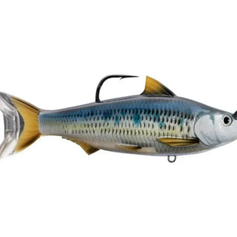 Live Target Common Shiner Swimbait - Your Premium Fishing Gear Store Rods Lines Baits Accessories* Bait