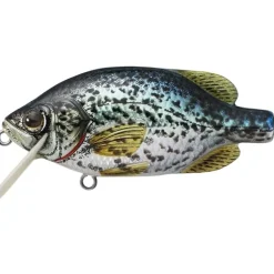 LiveTarget Crappie Flat-Side Shallow Dive Crankbait - Your Premium Fishing Gear Store Rods Lines Baits Accessories* Bait