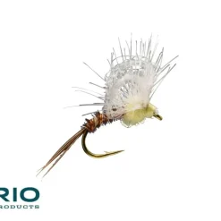Loop Wing PMD - Your Premium Fishing Gear Store Rods Lines Baits Accessories* Fly Fishing
