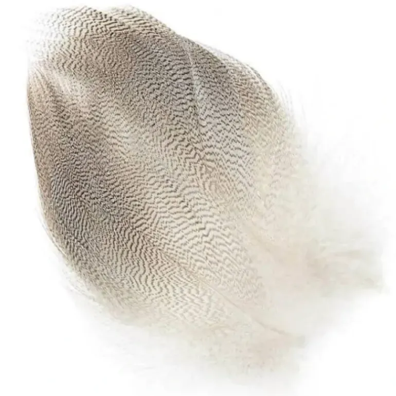MALLARD BARRED FLANK - Your Premium Fishing Gear Store Rods Lines Baits Accessories* Fly Fishing