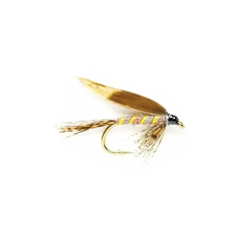March Brown Wet - Your Premium Fishing Gear Store Rods Lines Baits Accessories* Fly Fishing
