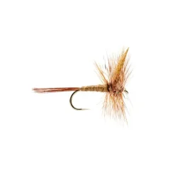 March Brown - Your Premium Fishing Gear Store Rods Lines Baits Accessories* Fly Fishing
