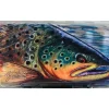MFC Flyweight Fly Box - Your Premium Fishing Gear Store Rods Lines Baits Accessories* Fly Fishing