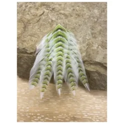 MFC Galloup's Fish Feathers Grizzled - Your Premium Fishing Gear Store Rods Lines Baits Accessories* Shop All