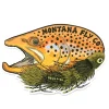 MFC Signature Sticker - Brown and Dungeon (5in. X 3.5in.) - Your Premium Fishing Gear Store Rods Lines Baits Accessories* Shop All