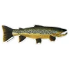 Mike Pepper "Colors on the Fly" 6" Brown Trout Sticker - Your Premium Fishing Gear Store Rods Lines Baits Accessories* Fly Fishing