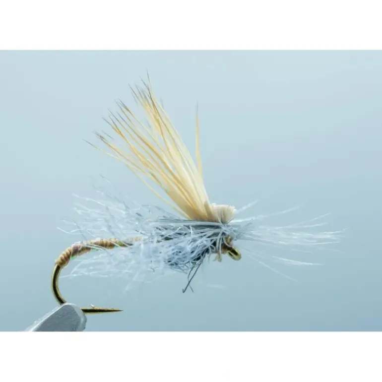 Missing Link Olive #14 - Your Premium Fishing Gear Store Rods Lines Baits Accessories* Shop All