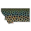 Montana Brown Trout Sticker - Your Premium Fishing Gear Store Rods Lines Baits Accessories* Shop All