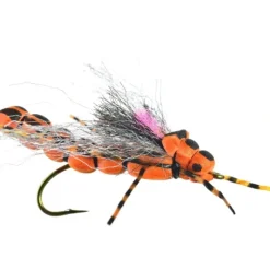 Morningwood Special - Your Premium Fishing Gear Store Rods Lines Baits Accessories* Fly Fishing