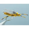 Morningwood Stone Gold #8 - Your Premium Fishing Gear Store Rods Lines Baits Accessories* Shop All