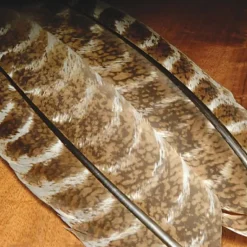 Mottled Turkey Quills - Your Premium Fishing Gear Store Rods Lines Baits Accessories* Shop All