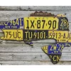New York Largemouth Bass License Plate Art - Your Premium Fishing Gear Store Rods Lines Baits Accessories* Shop All