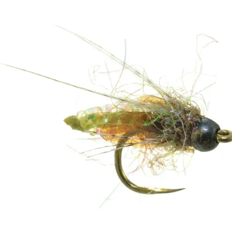 Nitro Caddis - Your Premium Fishing Gear Store Rods Lines Baits Accessories* Shop All