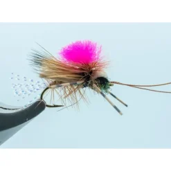 Party Animal Grillos Tan #14 - Your Premium Fishing Gear Store Rods Lines Baits Accessories* Shop All