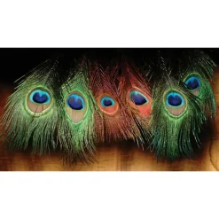 Peacock Eyed Sticks - Your Premium Fishing Gear Store Rods Lines Baits Accessories* Shop All