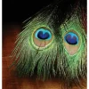 Peacock-Eye Sticks - Your Premium Fishing Gear Store Rods Lines Baits Accessories* Shop All