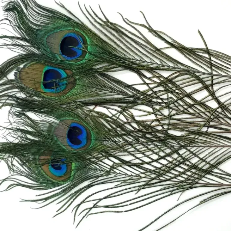 PEACOCK EYES - Your Premium Fishing Gear Store Rods Lines Baits Accessories* Fly Fishing