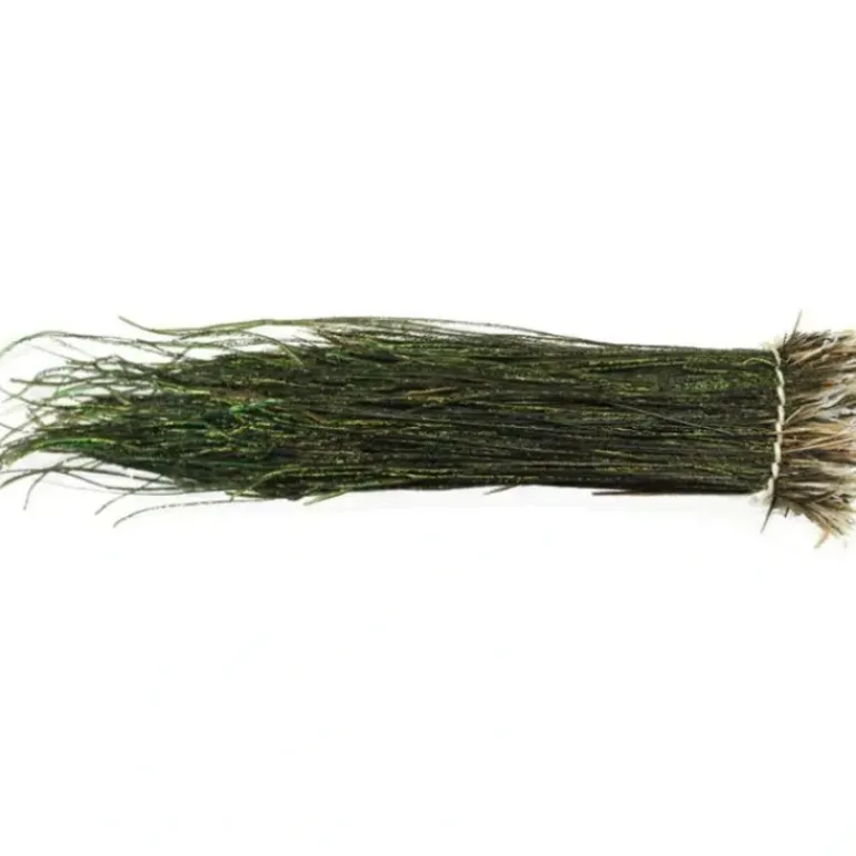 PeaCock Herl-Strung - Your Premium Fishing Gear Store Rods Lines Baits Accessories* Fly Fishing