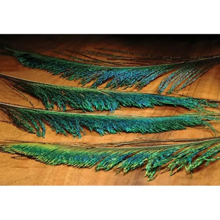 Peacock Sword-4 Pack - Your Premium Fishing Gear Store Rods Lines Baits Accessories* Fly Fishing