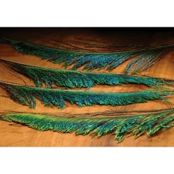 Peacock Sword - Your Premium Fishing Gear Store Rods Lines Baits Accessories* Shop All