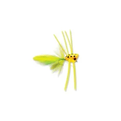 Peeper Popper - Your Premium Fishing Gear Store Rods Lines Baits Accessories* Shop All