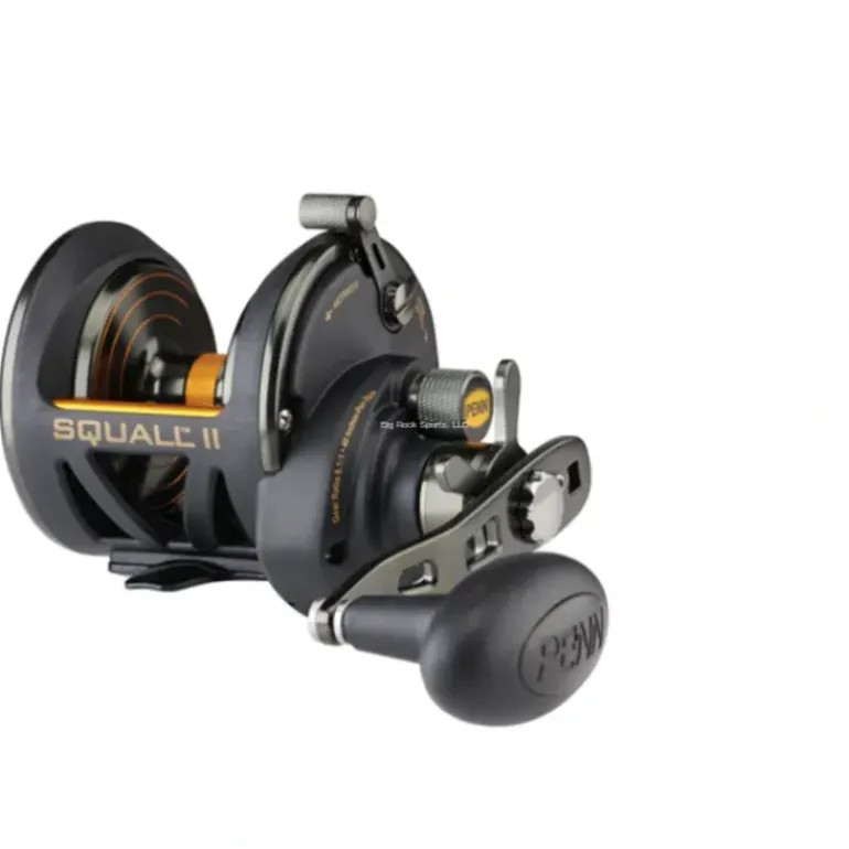 Penn SQLII25NSDLH Squall II Star Drag Left Hand Reel - Your Premium Fishing Gear Store Rods Lines Baits Accessories* Shop All