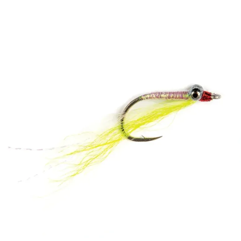 Pillow Talk - Your Premium Fishing Gear Store Rods Lines Baits Accessories* Shop All