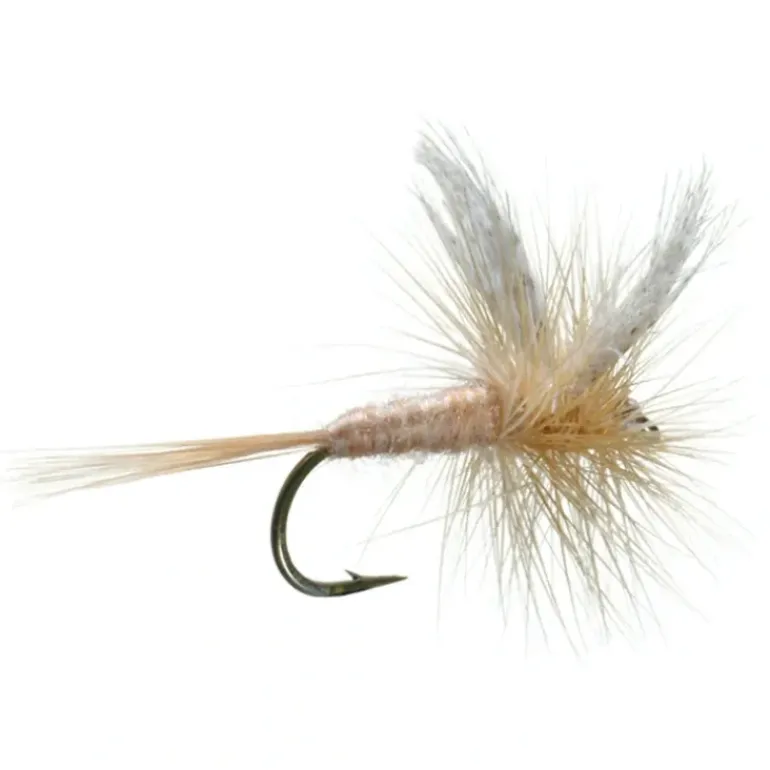 Pink Cahill - Your Premium Fishing Gear Store Rods Lines Baits Accessories* Fly Fishing