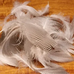 Pintail Flank Feathers - Your Premium Fishing Gear Store Rods Lines Baits Accessories* Shop All