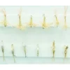 PMD Dry Assortment - Your Premium Fishing Gear Store Rods Lines Baits Accessories* Shop All