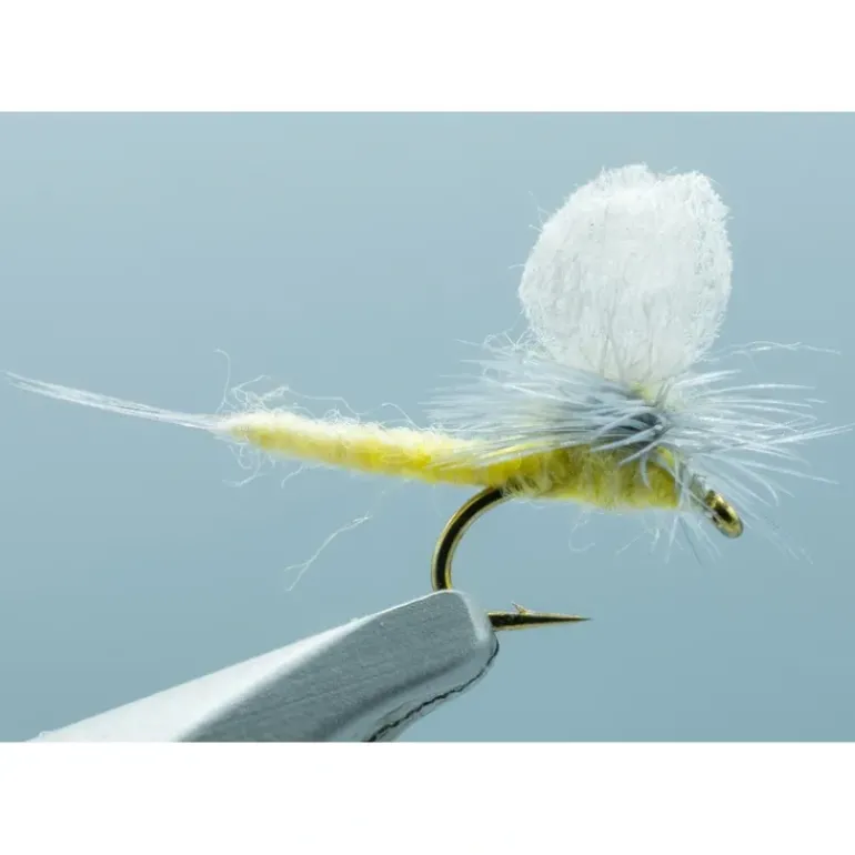 PMD Extended Body #18 - Your Premium Fishing Gear Store Rods Lines Baits Accessories* Shop All