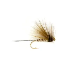Procter Active Green Drake Dun - Your Premium Fishing Gear Store Rods Lines Baits Accessories* Shop All