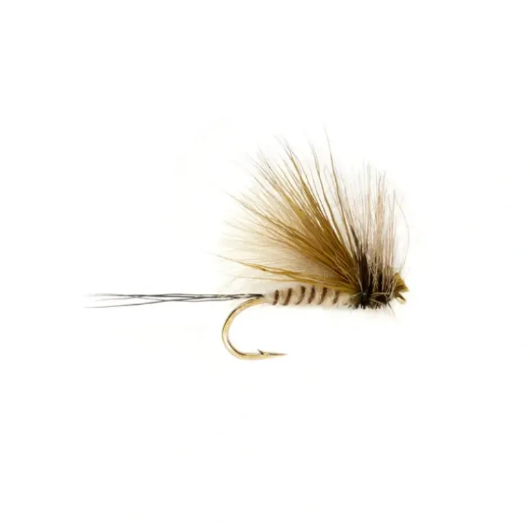 Procter Active Green Drake Dun - Your Premium Fishing Gear Store Rods Lines Baits Accessories* Shop All