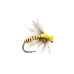 Procter Spent Caddis Cream Barbless - Your Premium Fishing Gear Store Rods Lines Baits Accessories* Shop All