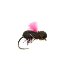 Procter Target Beetle Pink Barbless - Your Premium Fishing Gear Store Rods Lines Baits Accessories* Shop All