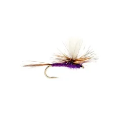 Purple Parachute Adams - Your Premium Fishing Gear Store Rods Lines Baits Accessories* Fly Fishing
