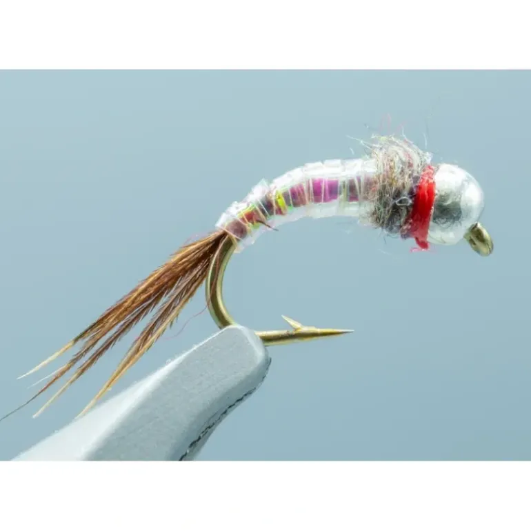 Rainbow Warrior - 1 Doz. - Your Premium Fishing Gear Store Rods Lines Baits Accessories* Shop All