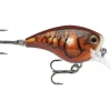 Rapala BX Brat Squarebill Crankbait 6, 2", 3/8oz, Blaze - Your Premium Fishing Gear Store Rods Lines Baits Accessories* Bait