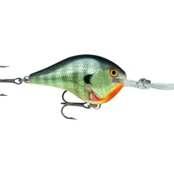 Rapala Dives-To 06 Crankbait, Floating (2", 3/8oz, Assorted Colors) - Your Premium Fishing Gear Store Rods Lines Baits Accessories* Bait