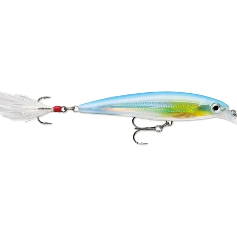Rapala X-Rap Jerkbait, Suspending, 3 1/8", 1/4oz, Slick - Your Premium Fishing Gear Store Rods Lines Baits Accessories* Bait