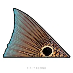 Redfish Tail Right Sticker - Your Premium Fishing Gear Store Rods Lines Baits Accessories* Fishing Line